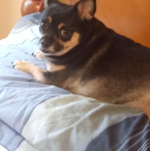 Meet your Posher, Luz